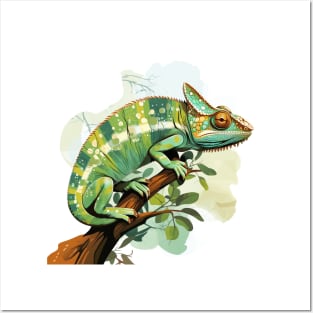 Veiled Chameleon Posters and Art